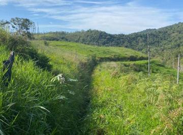 Rural , Jacupiranga · Fazenda com 105 Alqueires (254,1 ha), com documentação toda em ordem - Jacupirangaa/SP