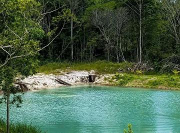 terreno-a-venda-em-itaporanga-d-ajuda-105-875m1546540.jpeg · Sítio Produtivo com Cascata, Nascentes e 35 Tarefas em Itaporanga d'Ajuda