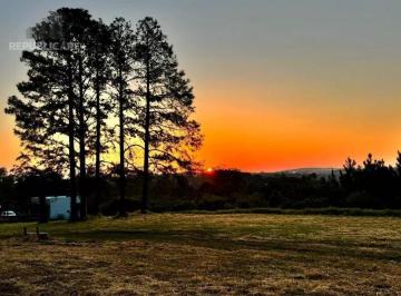 Rural · 5000ha · 2 Quartos · sitio lazer Manoel Santana(BRANQUINHA)1/5ha,casa alvenaria 80m2 3dorm
