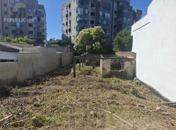 Terreno · 420m² · Ótimo terreno na Tristeza, com projeto aprovado para 3 casas em condomínio.