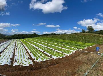 Rural · 200m² · Rurais à venda - em São José do Hortêncio