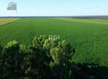 Rural · 850m² · Rurais à venda - no Centro