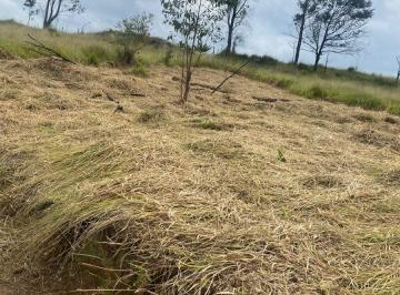 Terreno en Venda  Centro (São João Novo) · Vendo 1000m² em São Roque para chácara – Apenas R$119.998