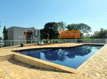 Apartamento · 52m² · 2 Quartos · 1 Vaga · Apartamento para aluguel, 2 quartos, 1 suíte, 1 vaga, Jardim dos Manacás - Santa Bárbara D'Oeste/SP