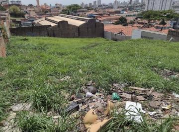 4fd37c9c704ac4994c8e08505dcba2e28e1e472b · Terreno Residencial à venda, Paulicéia, Piracicaba - TE0330.