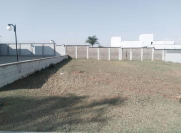 262b0bcd053b582ac4ac2f9981ac2f02be0abe15 · Terreno Residencial à venda, Água Branca, Piracicaba - TE0269.