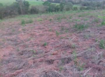 3d1ddd8ba0ca1b6e6a6d9b0d396aa71f91851e8f · Terreno Rural à venda, Centro, Charqueada - TE0563.