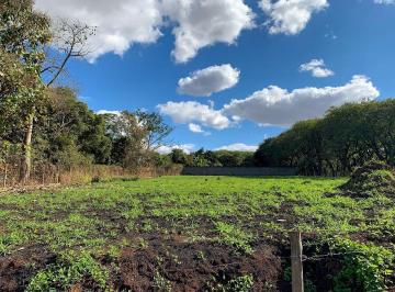 1da3ce4c55996e421e826601b0aaef5dd7b6dae5 · Terreno Residencial à venda, Santa Rita, Piracicaba - TE0293.