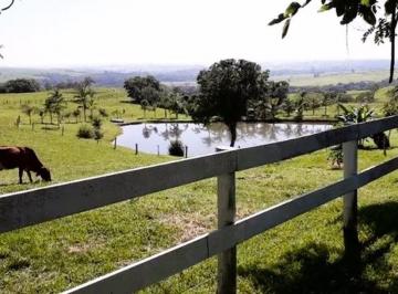 49f0ddc91fcdf7e02dbc138ec4ec28b385c979e2 · Sítio com 4 dormitórios à venda, 80000 m² por R$ 2.000.000,00 - Artemis - Piracicaba/SP