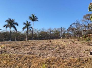 650addd5678e6296dd7c944a1e5e08b5e8006206 · Terreno Rural à venda, Centro (Tupi), Piracicaba - TE0555.