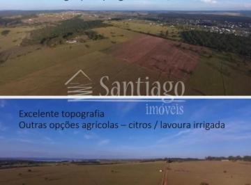 Terreno · 1900000m² · Terreno para venda em Centro de 1900000.00m²