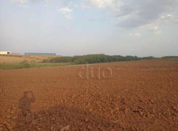 Terreno · 107000m² · Terreno para alugar em Comendador Mário Dedini de 107000.00m²