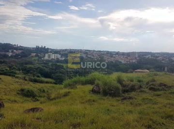 Comercial · 3365m² · Imóvel Comercial para venda em Monte Alegre de 3365.00m²