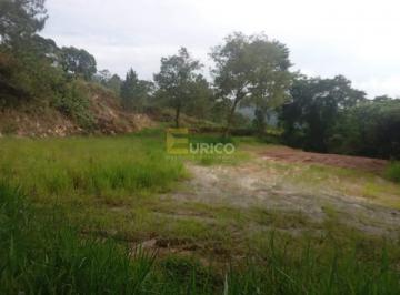 Terreno · 10000m² · 4 Vagas · Terreno para venda em Parque Jandaia II de 10000.00m² com 4 Garagens
