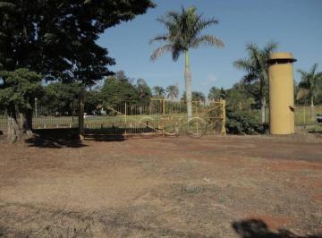 Comercial · 8000m² · Imóvel Comercial para venda em Conceição de 8000.00m²