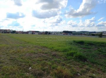 Terreno · 26236m² · Terreno para venda em Jd Icaraí de 26236.00m²