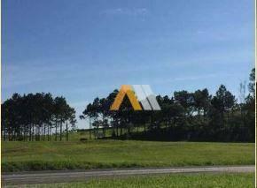 Comercial · 10m² · Imóvel Comercial para alugar em Castelo Branco de 10.00m²