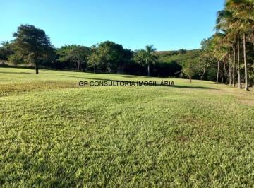 Terreno · 4319m² · Terreno para venda em Parque Da Grama de 4319.14m²