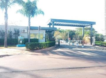 Apartamento · 22m² · 2 Quartos · 1 Vaga · Apartamento para venda em Parque Dos Pinus de 22.00m² com 2 Quartos e 1 Garagem