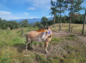 a8ty04s2ytfhy2uwzwm0ytvi_md · Sitio, Propriedade, Terreno Rural Anitápolis- SC  linda vista, agua, 3 hectares