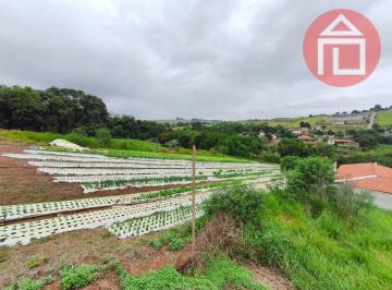 5e93129d0a5224db3c3961fcb89286e57371460d · Terreno à venda, 8500 m² por R$ 485.000,00 - Mãe dos Homens - Bragança Paulista/SP