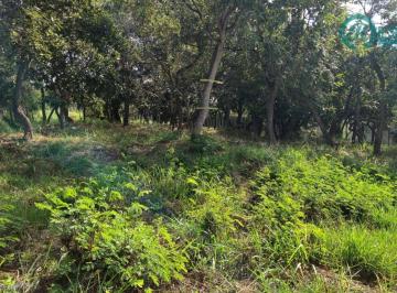 201f7006042637975383dfda7f3907187f2356fe · Terreno à venda, 1000 m² por R$ 600.000 - Condomínio Encanto da Lagoa - Lagoa Santa/MG