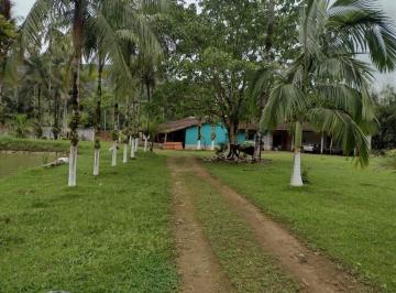 202605311546576352.jpg · Sítio para Venda em Sete Barras, AREA RURAL, 3 dormitórios, 2 suítes, 1 banheiro, 3 vagas