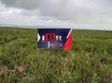 4ae1bf6d0f7274b0b74e878ffb9e9166d0fbf4f7 · Fazenda em Guarantã do Norte - MT