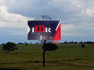 1d3ed273a25179b4a3ef04b14038e84caf76f5ca · Fazenda em Campo Grande - MS