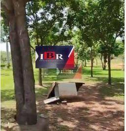 78c08b1132fbf1aa0c14ce4f85a93a5cd23cac26 · Fazenda em Bom Jesus – Piauí