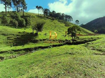 2szjo842ytfjmtm1m2fizdux_md · Área rural de 10 hectares, rio, nascentes, araucárias, luz, internet, escritura