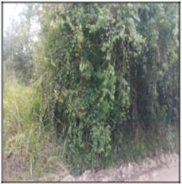 Imagem 1 · Terreno