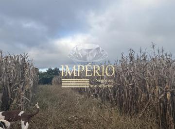 Foto 01 · Sítio à venda em Três Coroas-RS, bairro Serra Grande, com 10 hectares de área!
