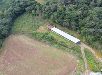 Rural , Farroupilha · 25 hectares na serra gaucha com estrutura para confinamento