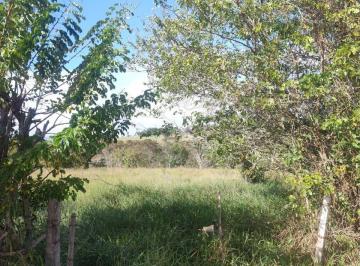 Foto 01 · TERRENO EM BOFETE SP. CAMPO ALEGRE 1 20.000M2 COM RIACHO PASSANDO NA DIVISA  EXCELENTE LOCALIZAÇÃO  