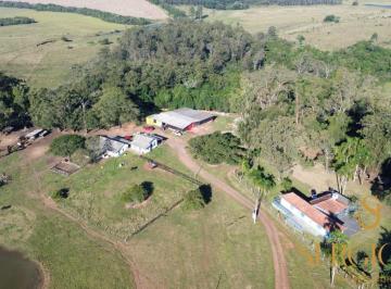 Rural de 4 quartos, Triunfo · Fazenda com 244 Hectares completa com porteira fechada em Triunfo RS