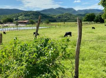 Terreno , São Roque · terreno de 1.000m² em São Roque com vista privilegiada e pagamento direto com o proprietário