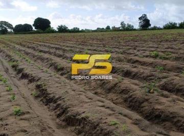 Terreno · 20000m² · Vendo 2 Hectares em Praia Bela
