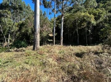 2142_i6D54g1cPAd6_21426a0641d967301.jpg · Terreno em Rancho Queimado