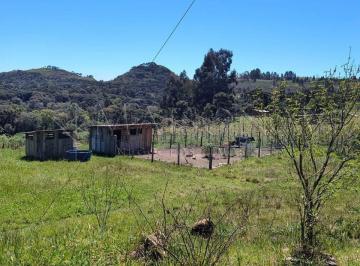 2135_iokG5_21356a00f1fe410f6.jpg · Sítio com 84.348,00m2, casa com 215m2, Bom Jesus da Serra, SC