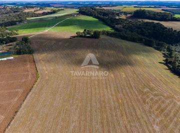 Terreno · 2147483647m² · Terreno Área em Ponta Grossa