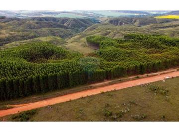 Rural · 1950000m² · Fazenda de 195 hectares, com Eucaliptos.