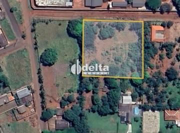 Terreno · 5000m² · Terreno disponível para venda no bairro Morada dos Pássaros em Uberlândia - MG