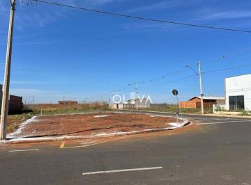 Terreno · 226m² · Terreno para venda em Loteamento Parque Nova Esperança de 226.00m²
