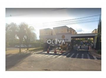 Apartamento · 37m² · 2 Quartos · Apartamento para venda em Jardim Planalto de 37.00m² com 2 Quartos