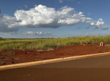 Terreno · 300m² · Terreno para venda em Betel de 300.00m²