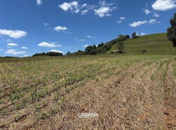 Rural · 9ha · CH602 Lavoura de 09 hectares Prontos para Produzir