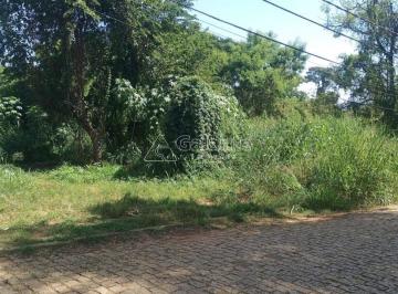 0 · área à venda em Chácara Belvedere