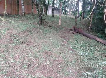Terreno · 495m² · Terreno para venda em Santa Felicidade de 495.00m²