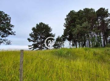 8affb7c96229971e96f56598cafd5c7771f76c25 · Terreno à venda, 750 m² por R$ 350.000,00 - Recanto Maravilha III - Santana de Parnaíba/SP